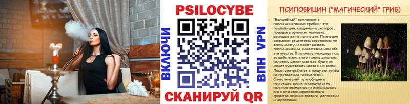 Галлюциногенные грибы Psilocybe Артём