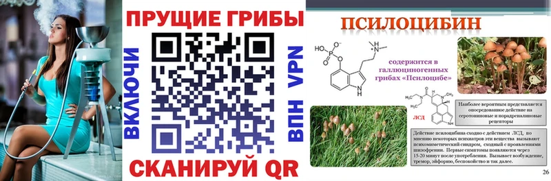 мега ССЫЛКА  Артём  Галлюциногенные грибы Magic Shrooms 